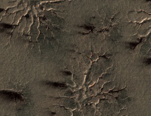 spiders-like  or araneiform  terrain with channels carved by carbon dioxide gas
